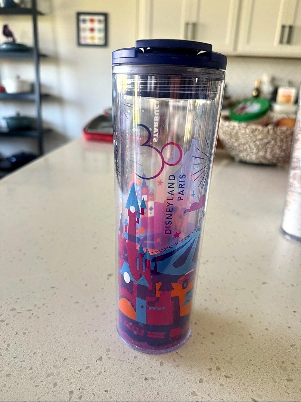 Disney Disneyland Paris Geometric Tumbler in Purple & Blue